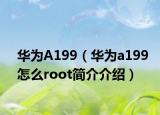 华为A199（华为a199怎么root简介介绍）