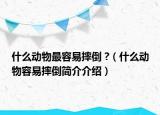什么动物最容易摔倒 ?（什么动物容易摔倒简介介绍）