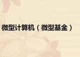 微型计算机（微型基金）