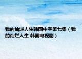 我的灿烂人生韩国中字第七集（我的灿烂人生 韩国电视剧）