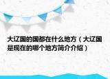 大辽国的国都在什么地方（大辽国是现在的哪个地方简介介绍）