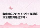 海猫鸣泣之时死了几个（海猫鸣泣之时散开始出了吗）