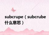 subcrupe（subcrube什么意思）