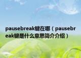 pausebreak键在哪（pausebreak键是什么意思简介介绍）