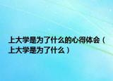 上大学是为了什么的心得体会（上大学是为了什么）