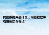 网络数据库是什么（网络数据库有哪些简介介绍）