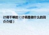 计调干嘛的（计调是做什么的简介介绍）
