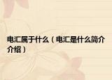 电汇属于什么（电汇是什么简介介绍）