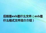 后缀是exb是什么文件（exb是什么格式文件简介介绍）
