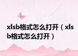 xlsb格式怎么打开（xlsb格式怎么打开）