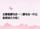 主要是腰马合一（腰马合一什么意思简介介绍）