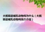 大熊猫是哺乳动物吗为什么（大熊猫是哺乳动物吗简介介绍）
