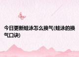 今日更新蛙泳怎么换气(蛙泳的换气口诀)