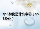 sp3杂化是什么意思（sp3杂化）