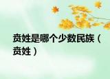 贲姓是哪个少数民族（贲姓）