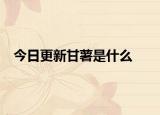 今日更新甘薯是什么