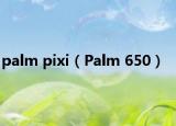 palm pixi（Palm 650）