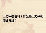 二力平衡百科（什么是二力平衡简介介绍）