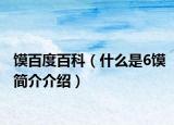 馍百度百科（什么是6馍简介介绍）