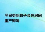 今日更新蚊子会在房间里产卵吗