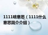 1111啥意思（1111什么意思简介介绍）