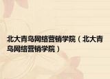 北大青鸟网络营销学院（北大青鸟网络营销学院）