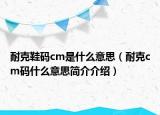 耐克鞋码cm是什么意思（耐克cm码什么意思简介介绍）