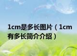 1cm是多长图片（1cm有多长简介介绍）