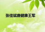 张佳斌唐健康王军