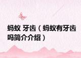 蚂蚁 牙齿（蚂蚁有牙齿吗简介介绍）