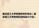 重庆理工大学有哪些专科专业（重庆理工大学有专科部吗简介介绍）