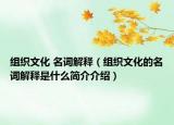 组织文化 名词解释（组织文化的名词解释是什么简介介绍）