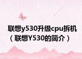 联想y530升级cpu拆机（联想Y530的简介）