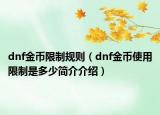 dnf金币限制规则（dnf金币使用限制是多少简介介绍）