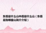 东岳是什么山中岳是什么山（东岳是指哪座山简介介绍）