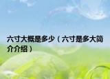 六寸大概是多少（六寸是多大简介介绍）
