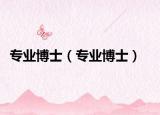 专业博士（专业博士）