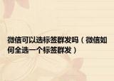 微信可以选标签群发吗（微信如何全选一个标签群发）