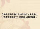 仓鹰击于殿上是什么特殊句式（古文中\