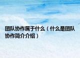 团队协作属于什么（什么是团队协作简介介绍）
