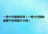 一目十行是啥生肖（一目十行指的是哪个生肖简介介绍）