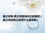 道之所存,师之所存也中之的意思（道之所在师之所在什么意思啊）