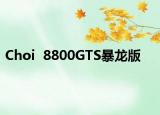 Choi  8800GTS暴龙版