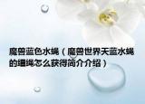 魔兽蓝色水蝇（魔兽世界天蓝水蝇的缰绳怎么获得简介介绍）