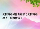 天机算不尽什么意思（天机算不尽下一句是什么）