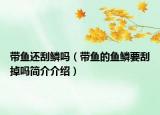 带鱼还刮鳞吗（带鱼的鱼鳞要刮掉吗简介介绍）