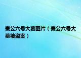 秦公六号大墓图片（秦公六号大墓被盗案）