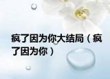疯了因为你大结局（疯了因为你）