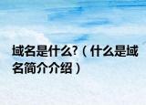 域名是什么?（什么是域名简介介绍）