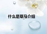 什么是草马介绍